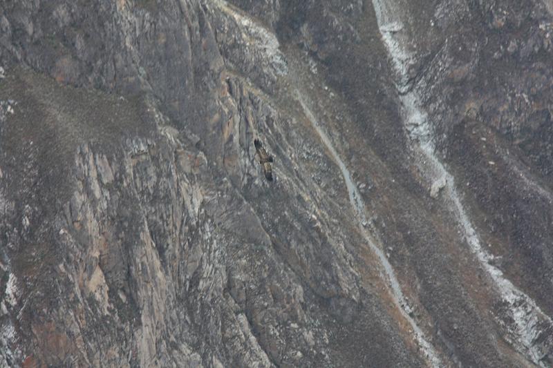 924-Cruz del condor,15 luglio 2013.JPG